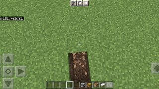 Minecraft smalliest house
