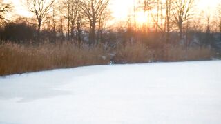 Winter sunset