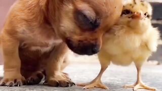 Cutest best friemds