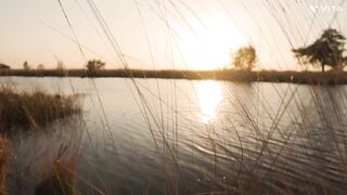 Sunset, evening scene. #