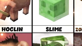 minecraft vs real life