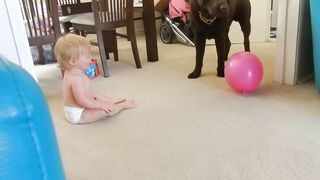 Cute Baby Play With Dog