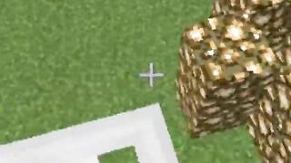 minecraft me skills pro