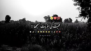 Best for ever