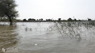 Flood in Sindh