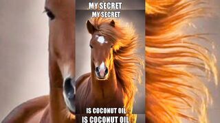 Secret of coconut oil@Funtime24