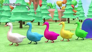 Animal Family