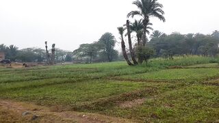 A Rainy day Village life