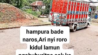 ayam broiler || kata kata lucu 239