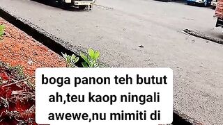 ayam broiler || kata kata lucu 240
