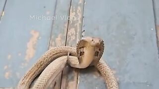 Unlock the door