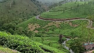 Karala.. Idukki... IndiaKarala.. Idukki... India