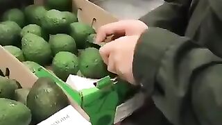 Avocados containing cocaine