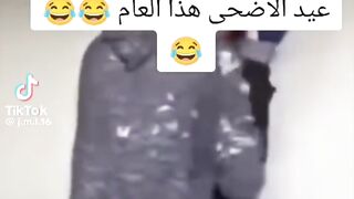 ???????????? 286