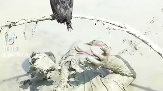 Amazing catching