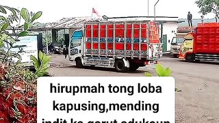 ayam broiler || kata kata lucu 242