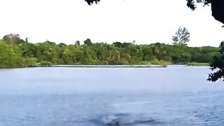 Man almost got eaten by crocodile