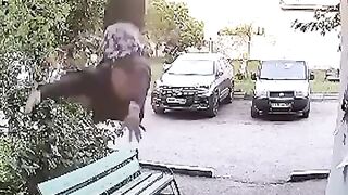 Man falls from the sky