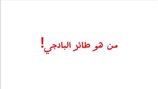طائر الحب 2