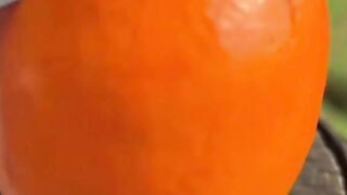 Fruit fun 2