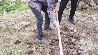 #It's much easier _when I have a teacher to help me dig the ground #New Year's Eve Photosynthesis #Youth Plan is Coming #Publishing Works