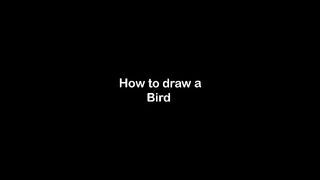 How to Draw A Bird Easy(360P)