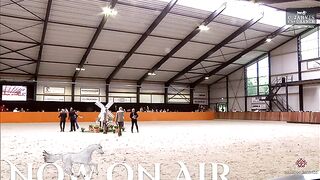 Dutch Masters 2024   Class 2