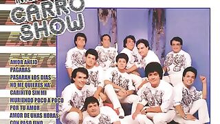 CARRO SHOW - CON PASO FINO