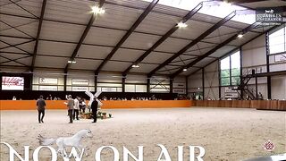 Dutch Masters 2024 Class 3
