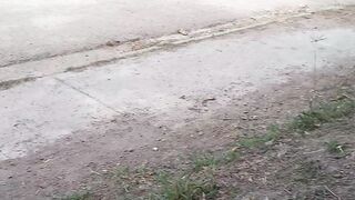 Beauty of the weather