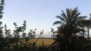 The nature 5