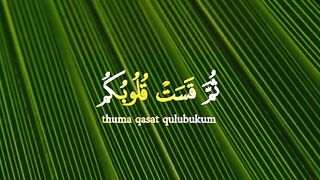 Quran Al Kareem 17