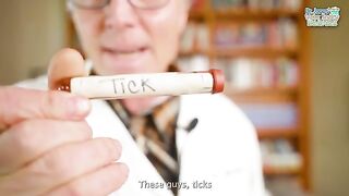 Keep Ticks Off_ New Tick-Spray Recipe for Dogs_(360P).
