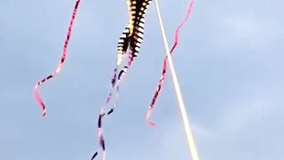 Unique kite 3