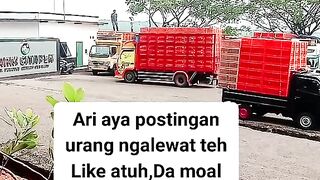 ayam broiler || kata kata lucu 243
