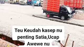 ayam broiler || kata kata lucu 244