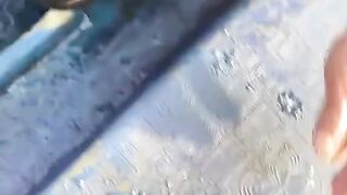 Blue fish