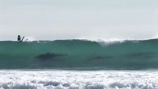 Sea Waves return