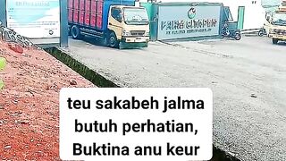 ayam broiler || kata kata lucu 247