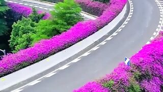 Wow China