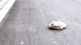 Little boy surprises with his actions!