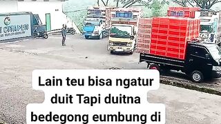 ayam broiler || kata kata lucu 249