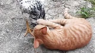 GDP the vehicle ghost going home game