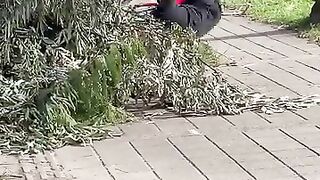 Funny Video 2024 | New Funny Video 2024 | Funny Video | Funny Parank | Funny Parank Video
