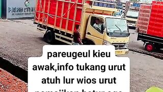 ayam broiler || kata kata lucu 250