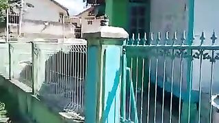 Rumah Panggung Yuan Sudrajat diatas Kolam Ikan Gurame