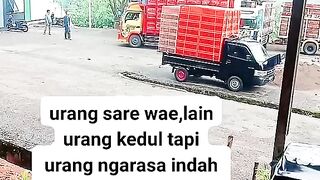 ayam broiler || kata kata lucu 251