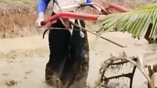 Gadis maen traktor