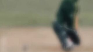 cricket 19