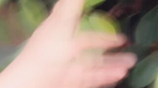 music 66